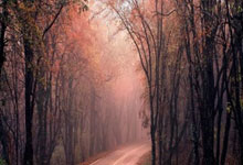 Ethereum's Institutional & Large Holder Accumulation: The Real Forces Driving the Crypto Bull Market