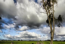 Ethereum's Institutional & Large Holder Accumulation: The Real Forces Driving the Crypto Bull Market