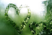 Ethereum's Institutional & Large Holder Accumulation: The Real Forces Driving the Crypto Bull Market