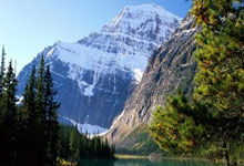 Zcash: Its Groundbreaking Vision, Price Predictions, and Why It Matters – What Reddit is Saying