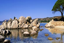 Ethereum's Institutional & Large Holder Accumulation: The Real Forces Driving the Crypto Bull Market